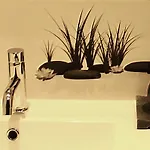 Oasis آركاشو